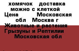 хомячок . доставка. можно с клеткой. › Цена ­ 300 - Московская обл., Москва г. Животные и растения » Грызуны и Рептилии   . Московская обл.